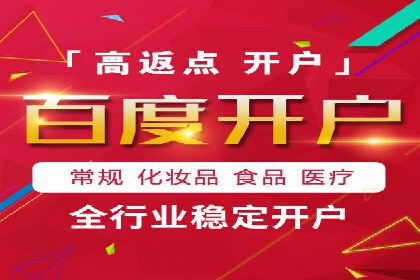竞价排名的投放策略与效果评估案例